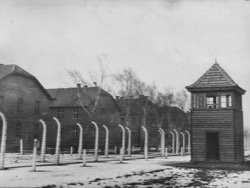 Освобождение концлагеря Освенцим. 27 января 1945 года