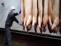 Евросоюз призвал Россию снять запрет на поставки свинины после решения ВТО