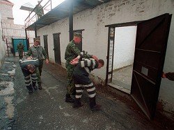 В России выросло число противников смертной казни
