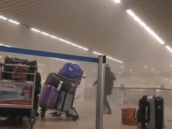 СМИ Бельгии: Смертники планировали атаковать россиян в аэропорту Брюсселя