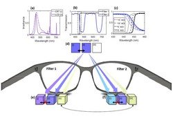 Ученые создали очки, позволяющие различать больше цветов
