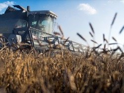 Турция сняла ограничения на ввоз российской пшеницы
