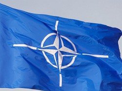 Черногория будет вносить в бюджет НАТО почти полмиллиона евро
