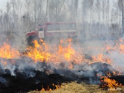 Дачники жарили шашлыки и спалили 40 домов