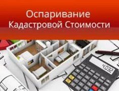 Росреестр отказал в пересмотре кадастровой оценки почти половине обратившихся