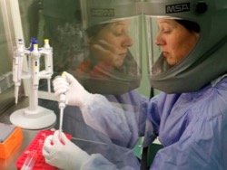 Стелс-гены против России: документы подтвердили разработку США "генетической бомбы"