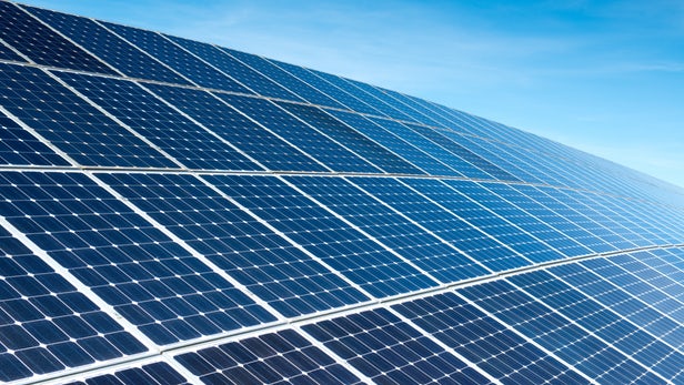 Биогенные солнечные батареи более эффективны