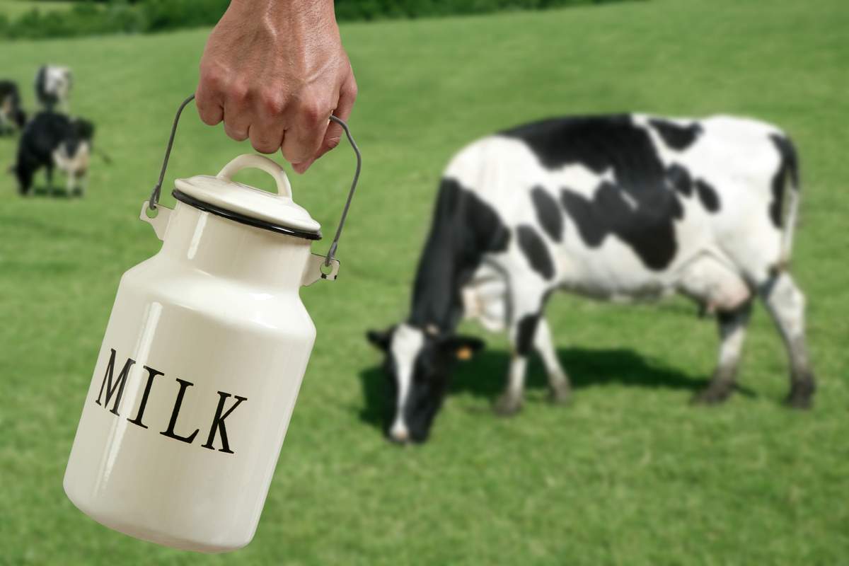 По данным США молоко на Украине скоро будет в дефиците