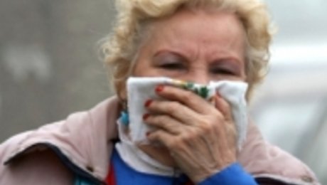 Москвичка – Собянину: долго ли ещё нас будут травить?