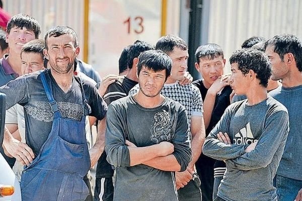 Для предприятий АПК завезут рабочих из Узбекистана