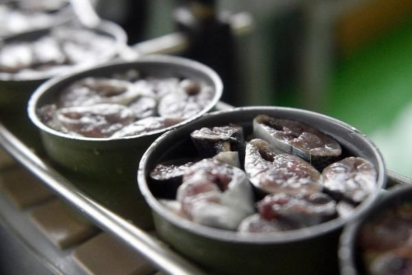 89% российских рыбных консервов сочли некачественными