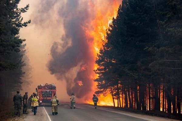 Структура Рослесхоза назвала преувеличенным ущерб от лесных пожаров