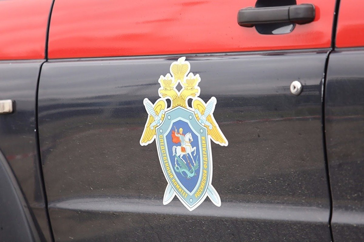 СК в Томске закрыл дело против силовиков, перепутавших авто и избивших случайного водителя