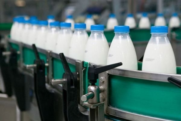 Производители молока повышают цены перед последним этапом обязательной маркировки