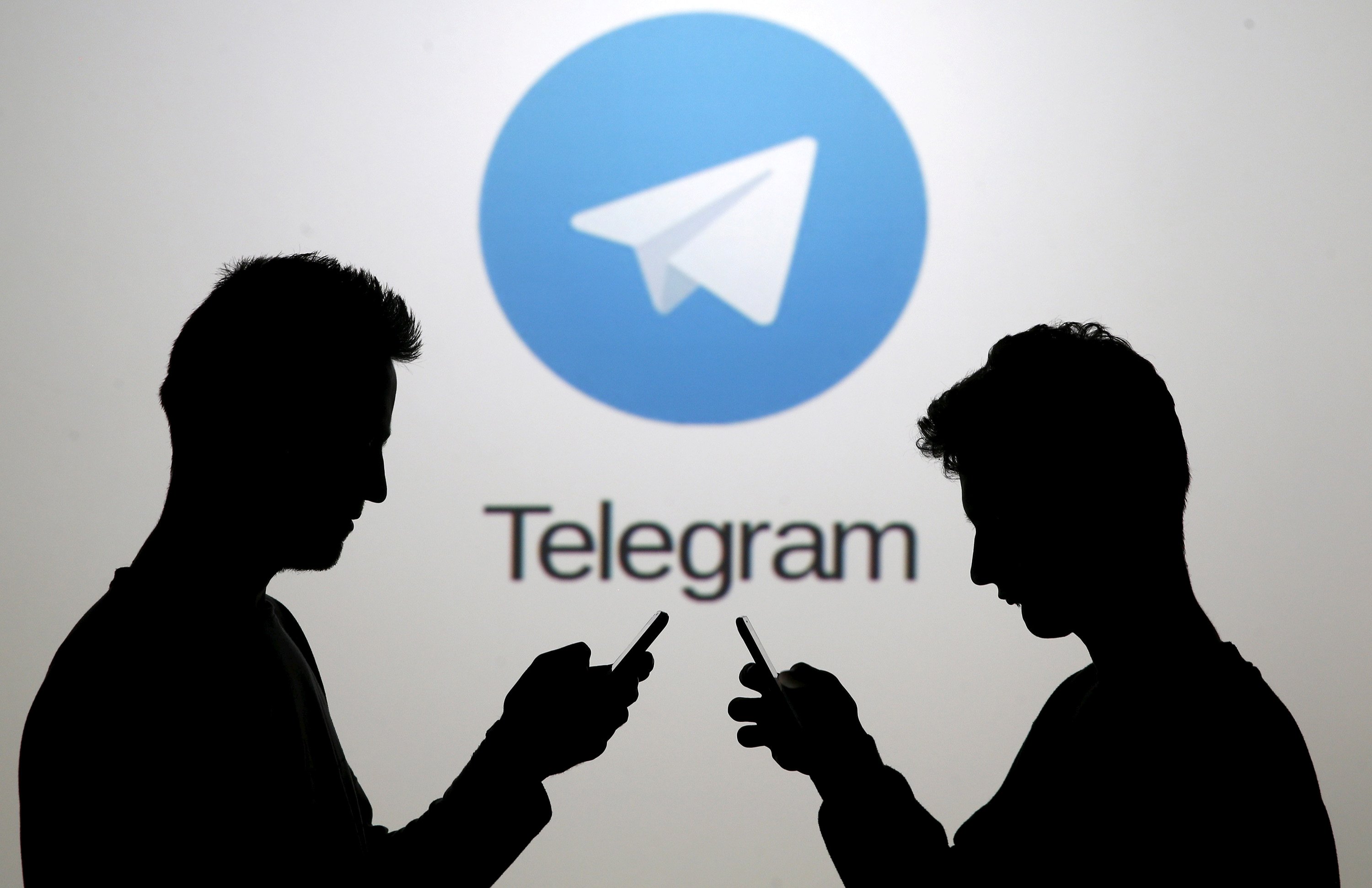 Эксперт оценил вероятность блокировки Telegram в Германии