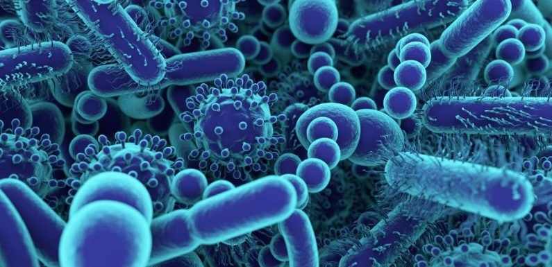 Кишечные бактерии способны вырабатывать токсичные вещества, повреждающие мозг